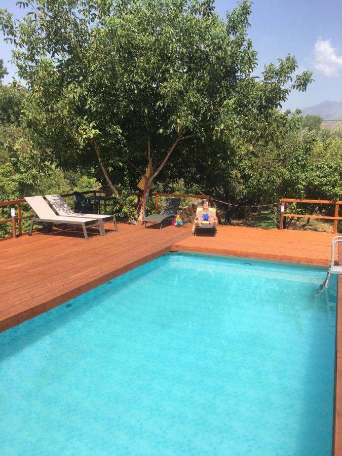Villa Bonaccorso - Antica E Maestosa Villa Con Piscina Ai Piedi Dell'Etna Viagrande Ngoại thất bức ảnh