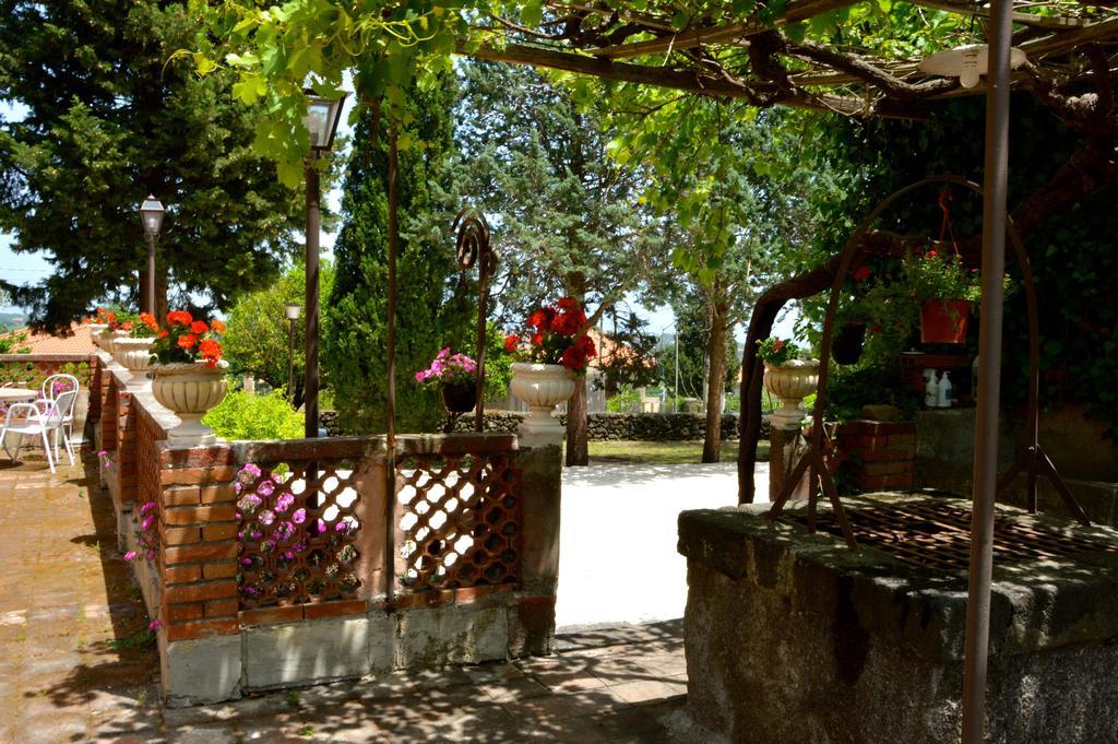 Villa Bonaccorso - Antica E Maestosa Villa Con Piscina Ai Piedi Dell'Etna Viagrande Ngoại thất bức ảnh