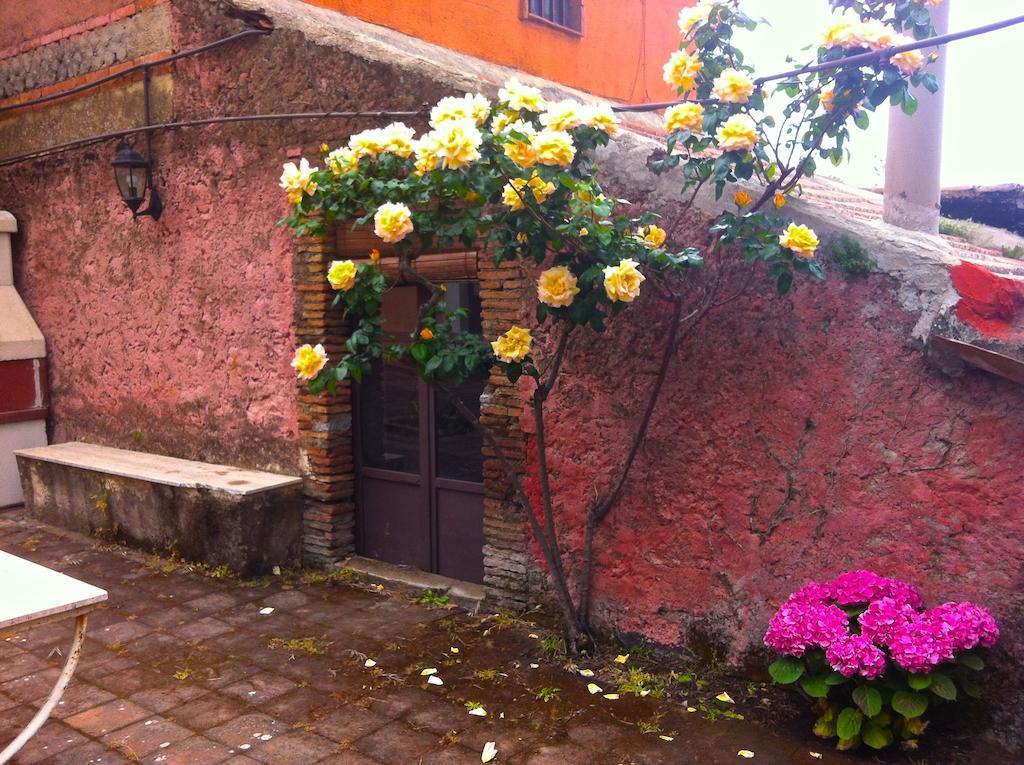 Villa Bonaccorso - Antica E Maestosa Villa Con Piscina Ai Piedi Dell'Etna Viagrande Ngoại thất bức ảnh