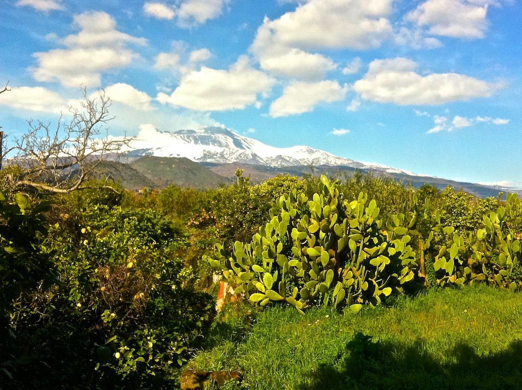 Villa Bonaccorso - Antica E Maestosa Villa Con Piscina Ai Piedi Dell'Etna Viagrande Ngoại thất bức ảnh