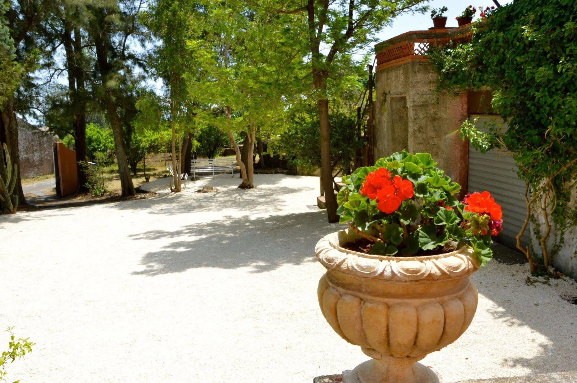 Villa Bonaccorso - Antica E Maestosa Villa Con Piscina Ai Piedi Dell'Etna Viagrande Ngoại thất bức ảnh