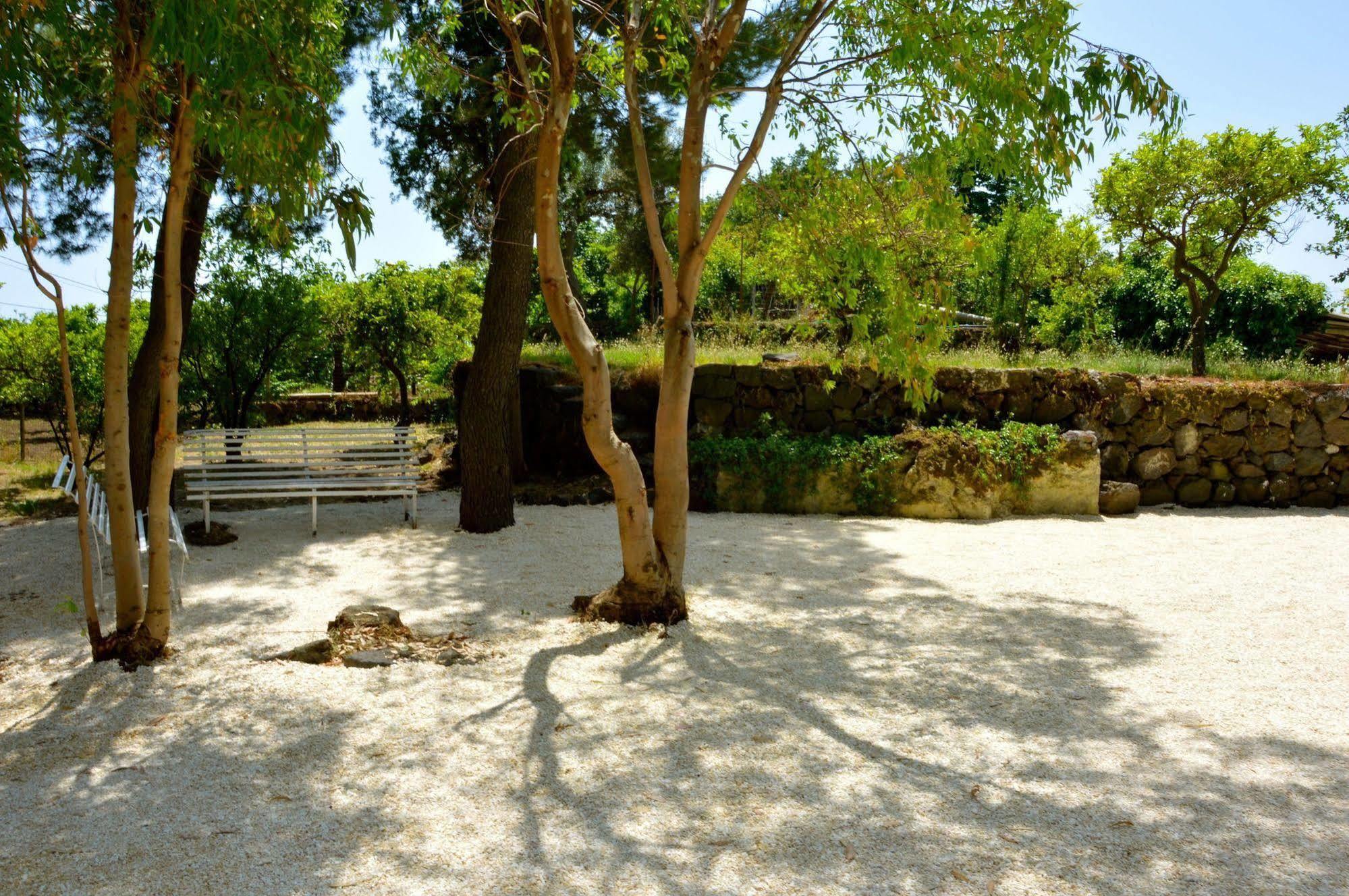 Villa Bonaccorso - Antica E Maestosa Villa Con Piscina Ai Piedi Dell'Etna Viagrande Ngoại thất bức ảnh